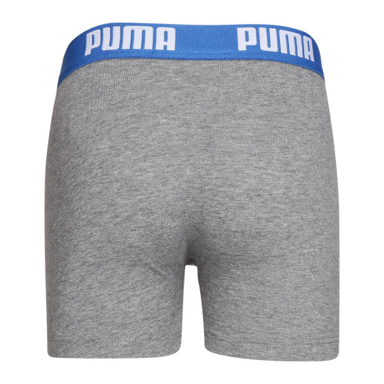 2PACK boxershorts för pojkar Puma multicolour (701219336 417)