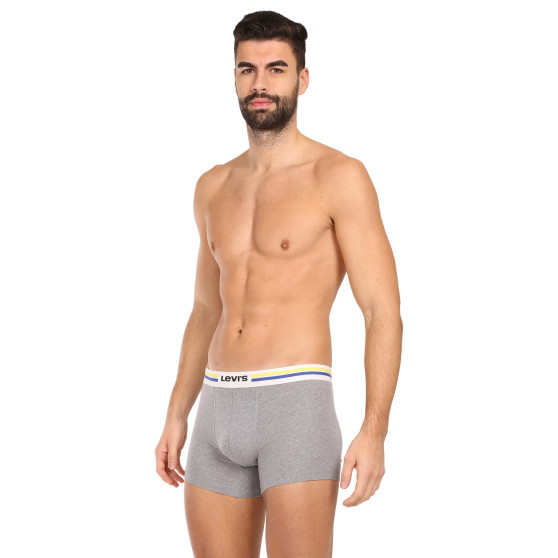 2PACK Boxershorts för herrar Levis multicolour (701222843 009)