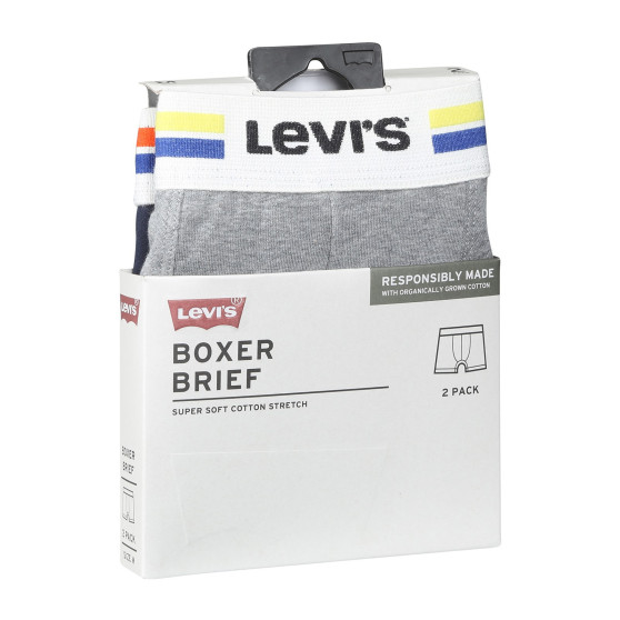 2PACK Boxershorts för herrar Levis multicolour (701222843 009)