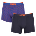 2PACK Boxershorts för herrar Levis multicolour (701224654 003)