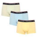 3PACK Boxershorts för herrar Tommy Hilfiger multicolour (1U87903842 0ID)