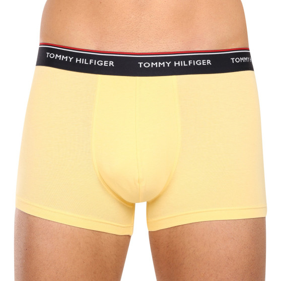 3PACK Boxershorts för herrar Tommy Hilfiger multicolour (1U87903842 0ID)