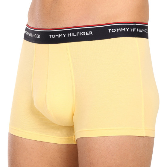 3PACK Boxershorts för herrar Tommy Hilfiger multicolour (1U87903842 0ID)