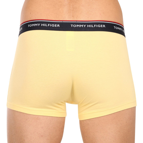 3PACK Boxershorts för herrar Tommy Hilfiger multicolour (1U87903842 0ID)