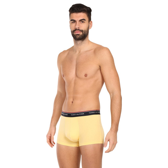 3PACK Boxershorts för herrar Tommy Hilfiger multicolour (1U87903842 0ID)