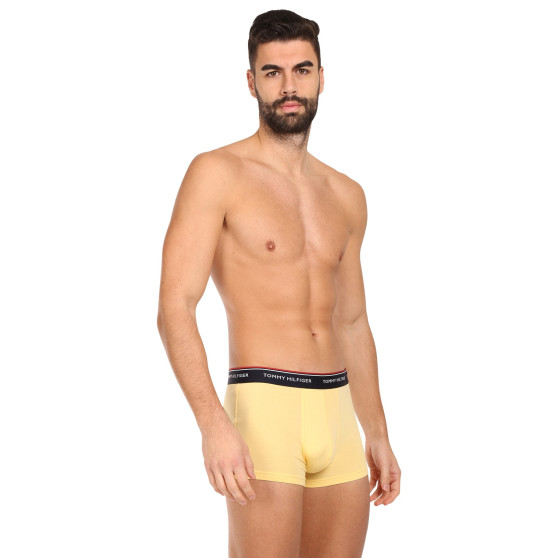 3PACK Boxershorts för herrar Tommy Hilfiger multicolour (1U87903842 0ID)