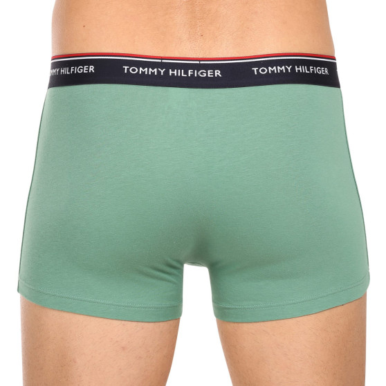 3PACK Boxershorts för herrar Tommy Hilfiger multicolour (1U87903842 0Y0)