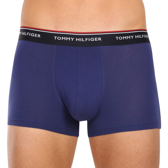 3PACK Boxershorts för herrar Tommy Hilfiger multicolour (1U87903842 0Y0)