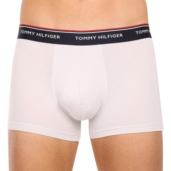 3PACK Boxershorts för herrar Tommy Hilfiger multicolour (1U87903842 0Y0)