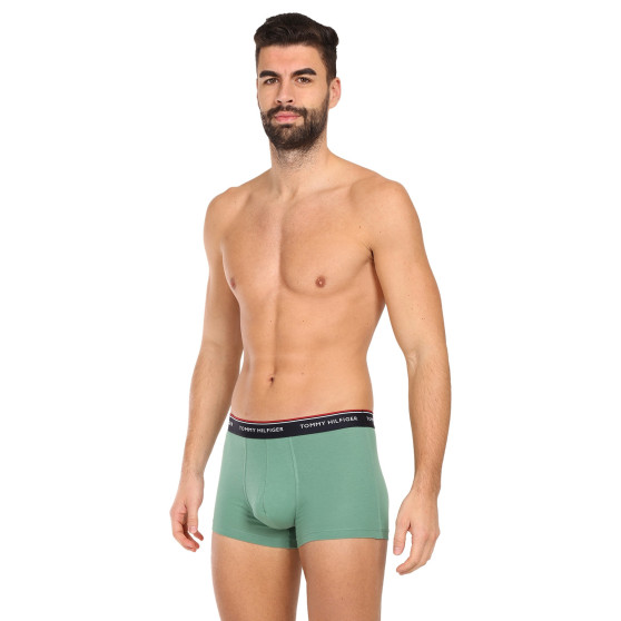 3PACK Boxershorts för herrar Tommy Hilfiger multicolour (1U87903842 0Y0)