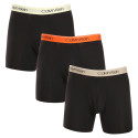 3PACK Boxershorts för herrar Calvin Klein svart (NB2570A-GTK)