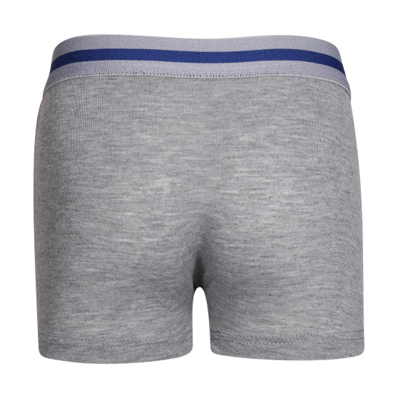 Boxershorts för barn Gianvaglia grå (023)