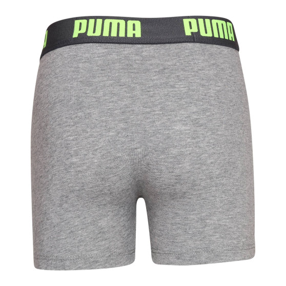 2PACK boxershorts för pojkar Puma multicolour (701219334 005)