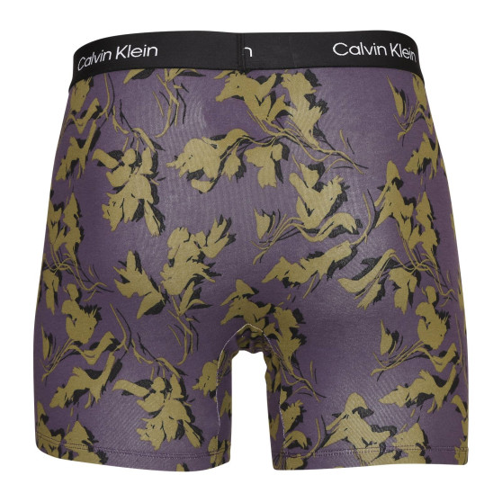 3PACK Boxershorts för herrar Calvin Klein multicolour (NB3529E-I14)