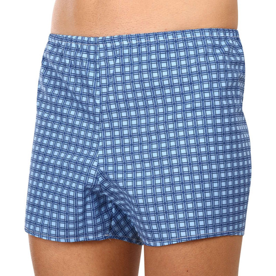 Boxershorts för herrar Foltýn blå rutor (K54)