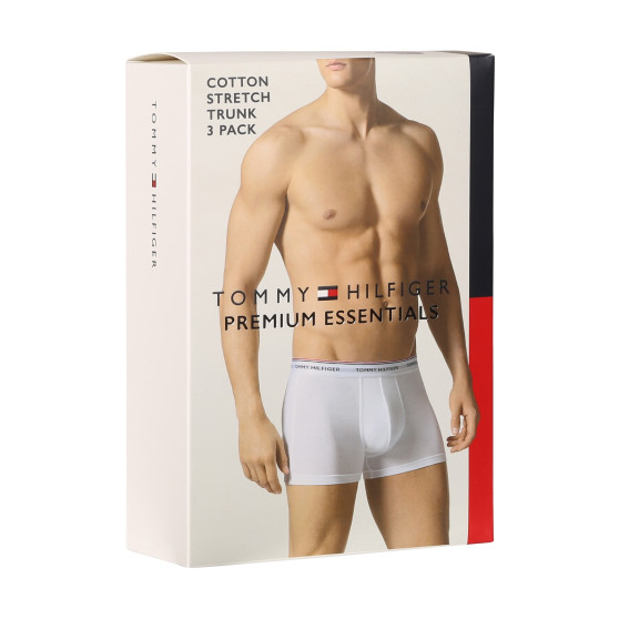 3PACK Boxershorts för herrar Tommy Hilfiger svart (1U87903842 990)