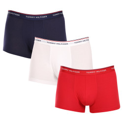 3PACK Boxershorts för herrar Tommy Hilfiger multicolour (1U87903842 611)