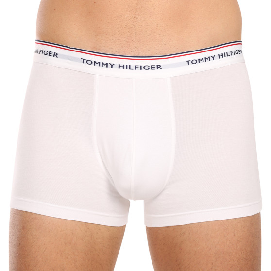 3PACK Boxershorts för herrar Tommy Hilfiger multicolour (1U87903842 611)