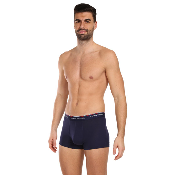 3PACK Boxershorts för herrar Tommy Hilfiger multicolour (1U87903842 611)