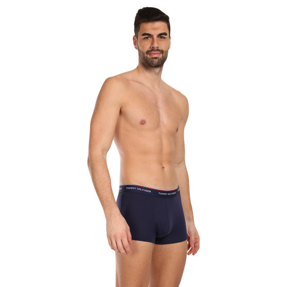 3PACK Boxershorts för herrar Tommy Hilfiger multicolour (1U87903842 611)