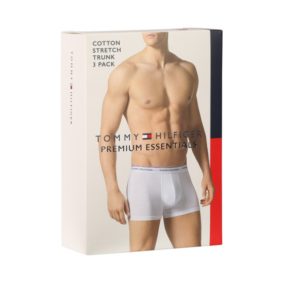 3PACK Boxershorts för herrar Tommy Hilfiger multicolour (1U87903842 611)