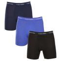 3PACK Boxershorts för herrar Calvin Klein multicolour (NB1770A-4KU)