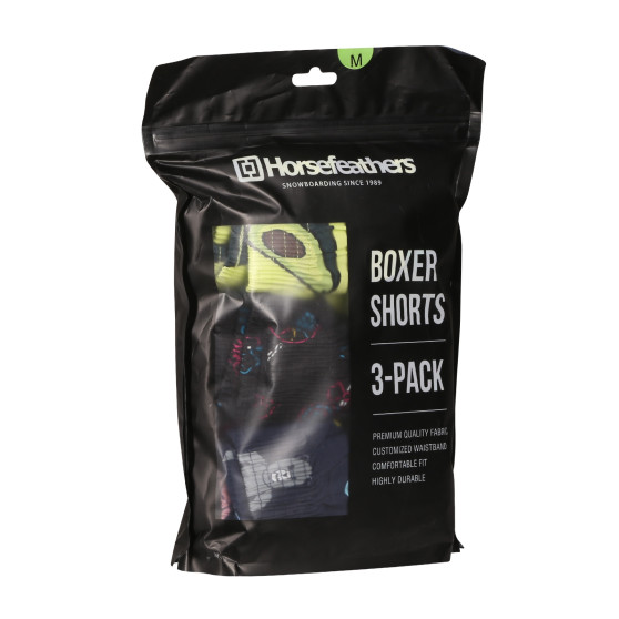 3PACK Shorts för män Horsefeathers Manny Bundle 5 (AM165D)