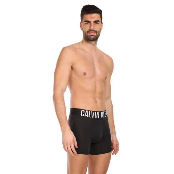 3PACK Boxershorts för herrar Calvin Klein svart (NB3609A-UB1)