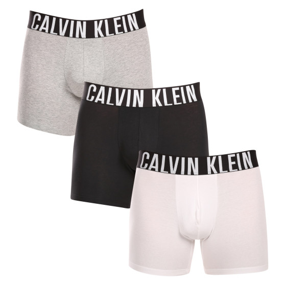 3PACK Boxershorts för herrar Calvin Klein multicolour (NB3609A-MP1)