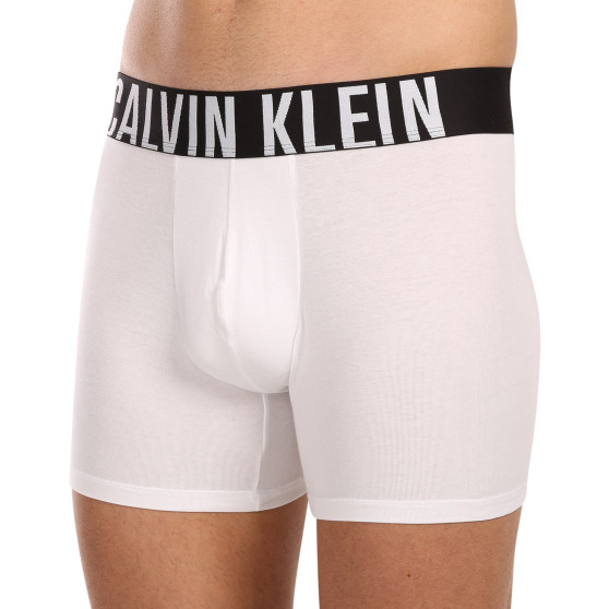 3PACK Boxershorts för herrar Calvin Klein multicolour (NB3609A-MP1)