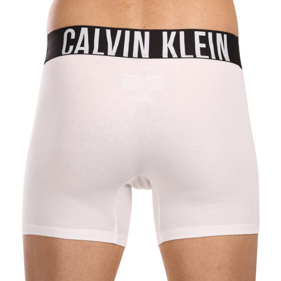 3PACK Boxershorts för herrar Calvin Klein multicolour (NB3609A-MP1)