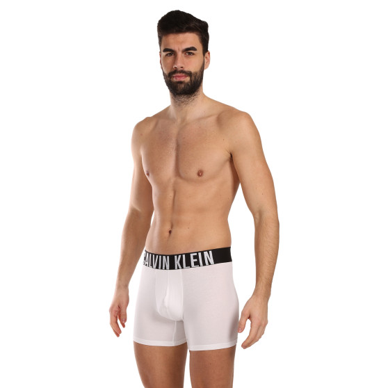 3PACK Boxershorts för herrar Calvin Klein multicolour (NB3609A-MP1)