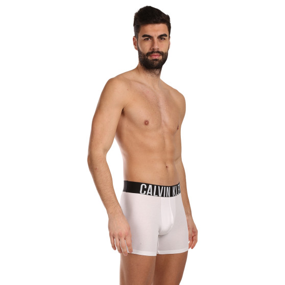 3PACK Boxershorts för herrar Calvin Klein multicolour (NB3609A-MP1)