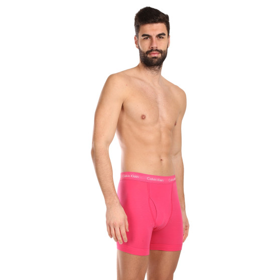 3PACK Boxershorts för herrar Calvin Klein multicolour (NB2616A-NLT)