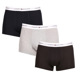 3PACK Boxershorts för herrar Tommy Hilfiger multicolour (UM0UM02761 0YV)