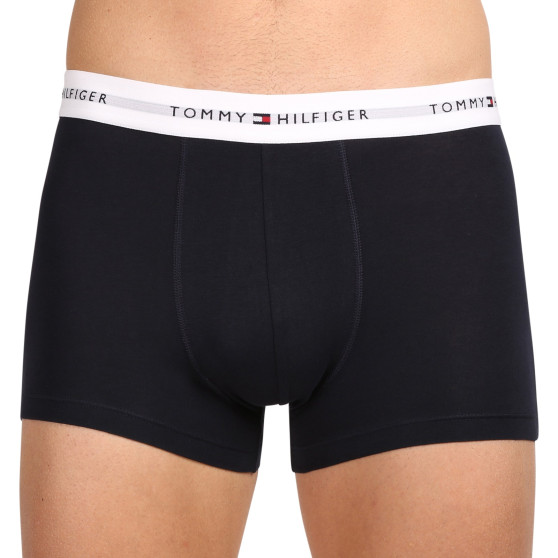 3PACK Boxershorts för herrar Tommy Hilfiger multicolour (UM0UM02761 0YV)