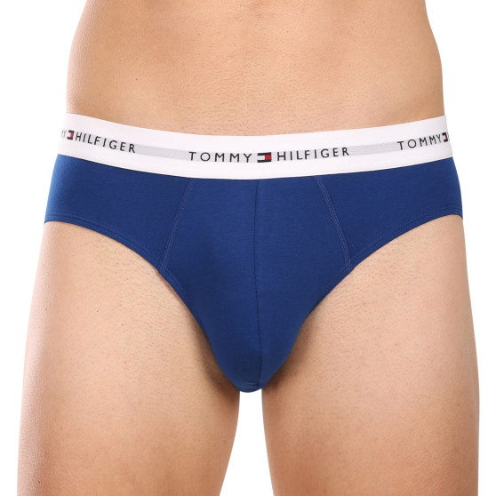 3PACK herrkalsonger Tommy Hilfiger multicolour (UM0UM02764 0XZ)