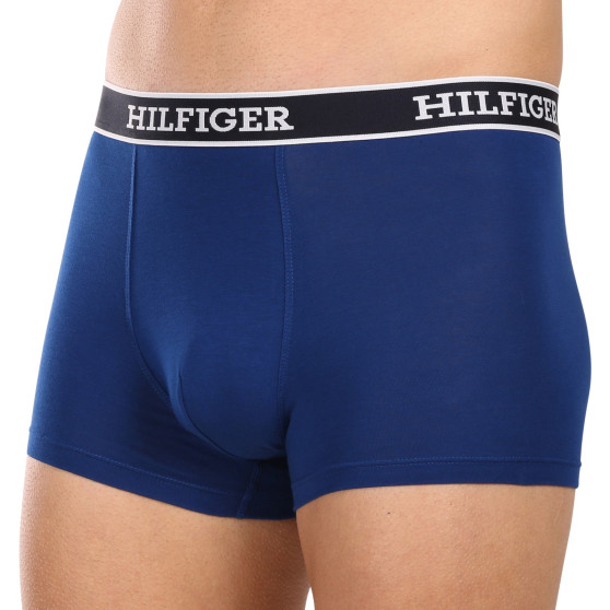 3PACK Boxershorts för herrar Tommy Hilfiger multicolour (UM0UM03185 0SX)