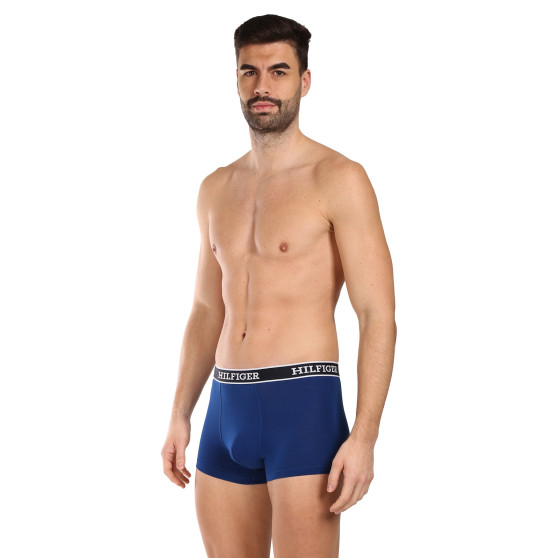 3PACK Boxershorts för herrar Tommy Hilfiger multicolour (UM0UM03185 0SX)