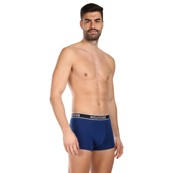 3PACK Boxershorts för herrar Tommy Hilfiger multicolour (UM0UM03185 0SX)