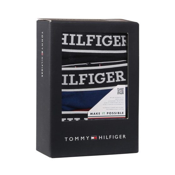 3PACK Boxershorts för herrar Tommy Hilfiger multicolour (UM0UM03185 0SX)