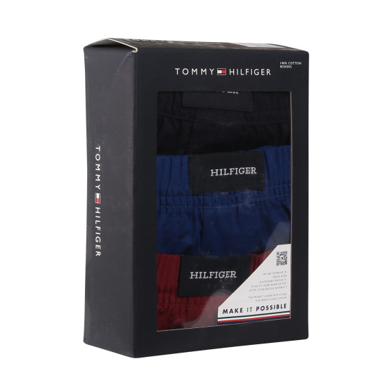 3PACKBoxershorts för herrar Tommy Hilfiger flerfärgad (UM0UM03187 0SX)