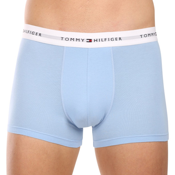 3PACK Boxershorts för herrar Tommy Hilfiger multicolour (UM0UM02761 0XP)