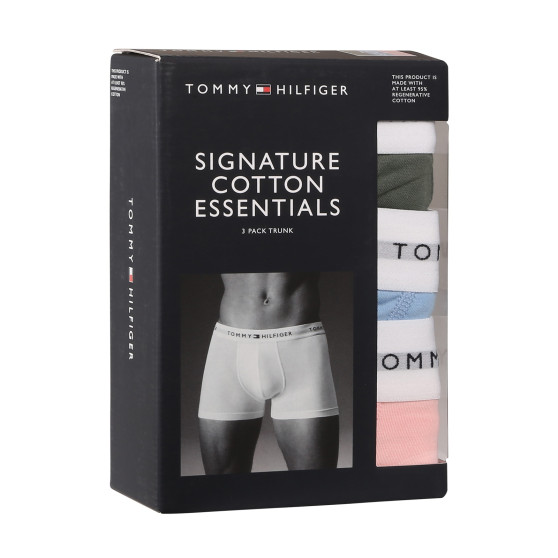 3PACK Boxershorts för herrar Tommy Hilfiger multicolour (UM0UM02761 0XP)