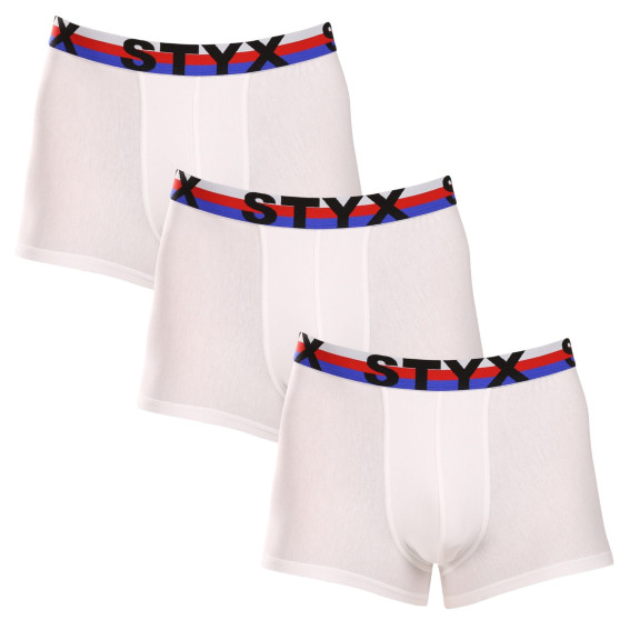 3PACK boxershorts för herrar Styx sport elastisk vit tricolour (3G2061)