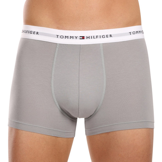 3PACK Boxershorts för herrar Tommy Hilfiger multicolour (UM0UM02768 0Y1)