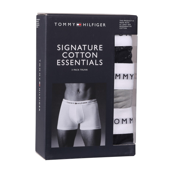 3PACK Boxershorts för herrar Tommy Hilfiger multicolour (UM0UM02768 0Y1)