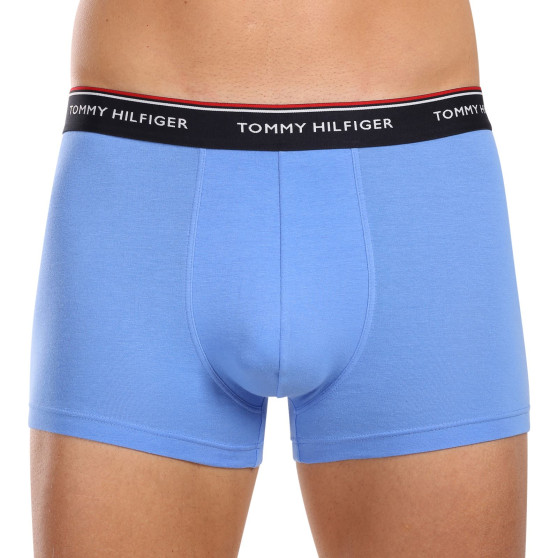 3PACK Boxershorts för herrar Tommy Hilfiger multicolour (1U87903842 0SS)