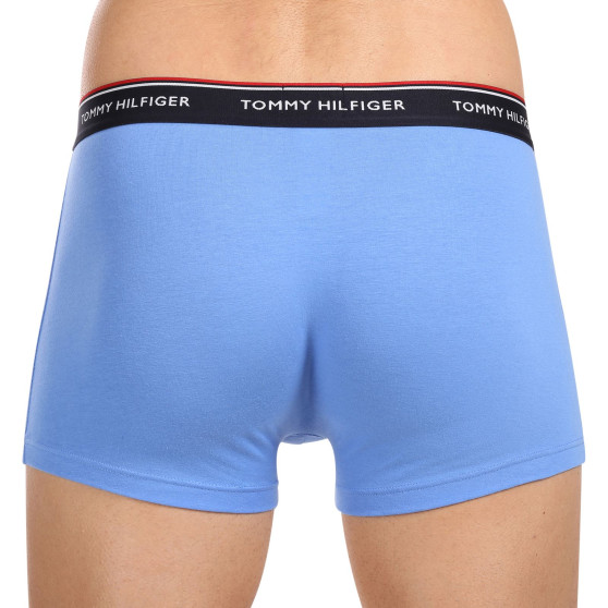 3PACK Boxershorts för herrar Tommy Hilfiger multicolour (1U87903842 0SS)