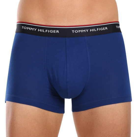 3PACK Boxershorts för herrar Tommy Hilfiger multicolour (1U87903842 0SS)